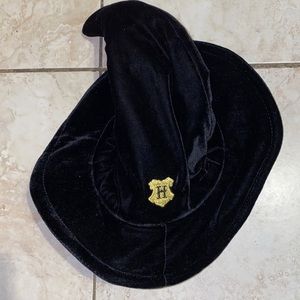 Harry Potter Hogwarts House Student Deluxe Costume Hat